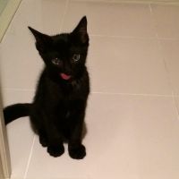 にゃかがわ72さん