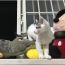 ユーザ画像