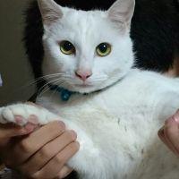 会員画像