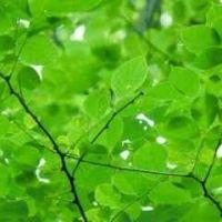 ときとう 会員画像