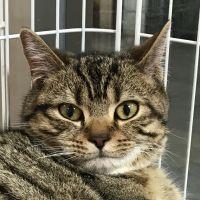 ミカエルハナ 会員画像