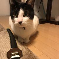 kouatu 会員画像