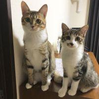まれママ 会員画像
