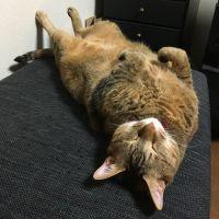 みさきてぃ 会員画像