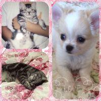 あゆりー 会員画像