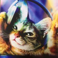 らんまる1 会員画像