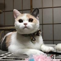 会員画像