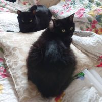 ゆりのはなさん