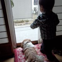 コロリーナ 会員画像
