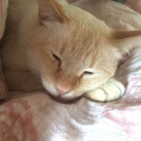mimimimimiさん