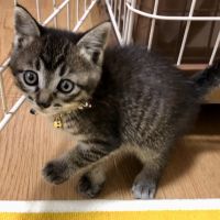 会員画像