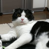 会員画像