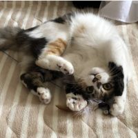 おかたん♪ 会員画像