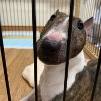 会員画像
