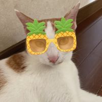 りみち 会員画像