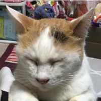 会員画像