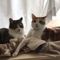 わさから 会員画像