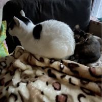 かこべ 会員画像