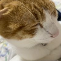 sakuた 会員画像