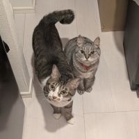 たぬぴさん