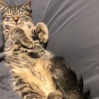 あや_ちゃん 会員画像