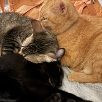 Marimo123 会員画像