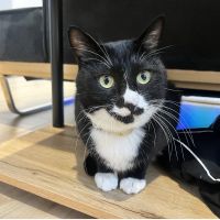 ちこるさん
