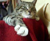 marsya38 会員画像