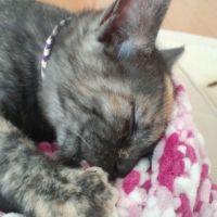 かわしりなおこ 会員画像