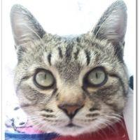 まめ♡まお 会員画像