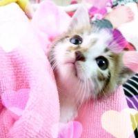 会員画像