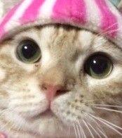 会員画像