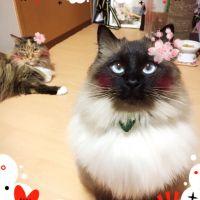 会員画像