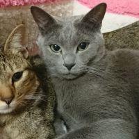 ミーナk 会員画像