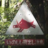 ichi_8 会員画像