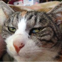 ソラナックス 会員画像