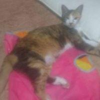 必ず見つけるからね！さん