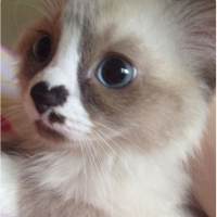 uuumiu 会員画像