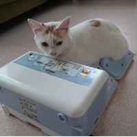 パピママ 会員画像