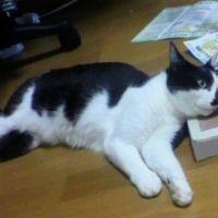 ぽっくん 会員画像
