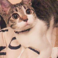 もってい 会員画像