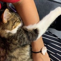 会員画像
