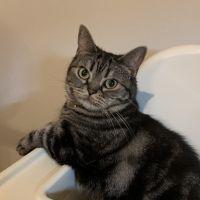 からめ 会員画像