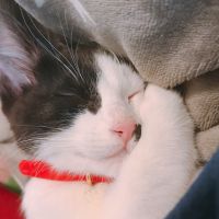 にぎさん