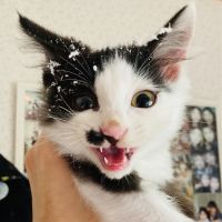 ビッちゃんさん