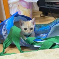 マロちん 会員画像
