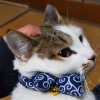 うーこ0821 会員画像