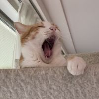会員画像