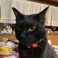 れらままさん