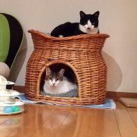 さすけのおうち 会員画像